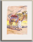 Margaret Kennedy   "Camel and Driver, Delwara, India"   2007   19&frac12;" x 13&frac12;"